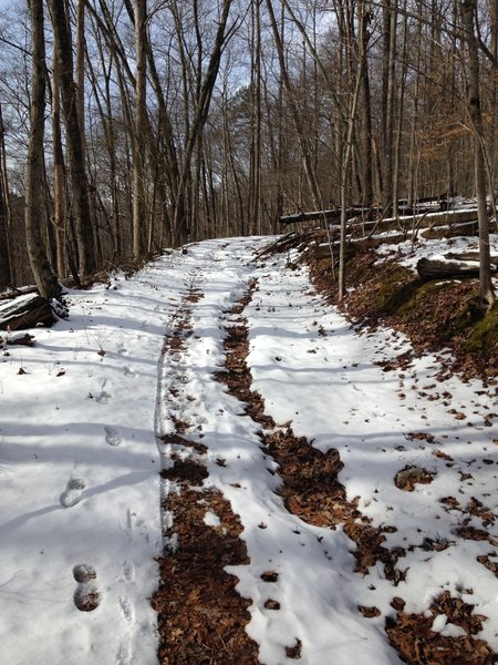 Wide rutty trail descending to the lake.