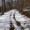 Wide rutty trail descending to the lake.