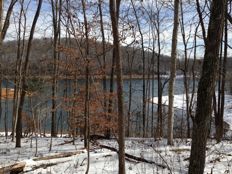 The peninsula juts out on the right hand side. You can spy the lake through the foliage.