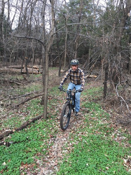 Winding through the woods.