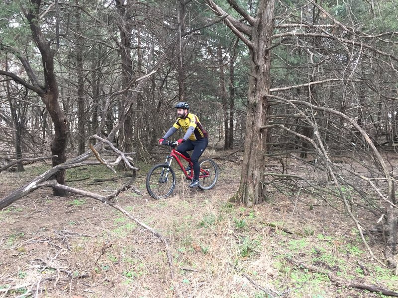 A great ride in the woods!