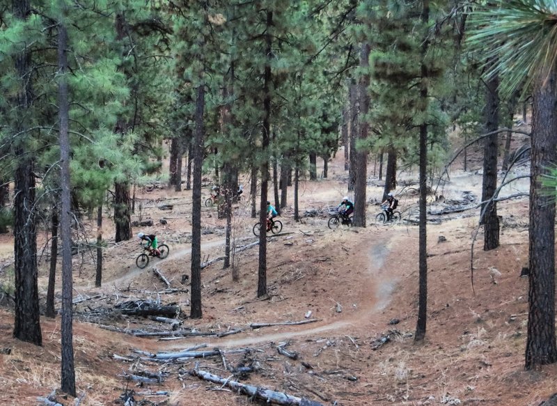 Beginning of switchbacks on the Upchuck climb.