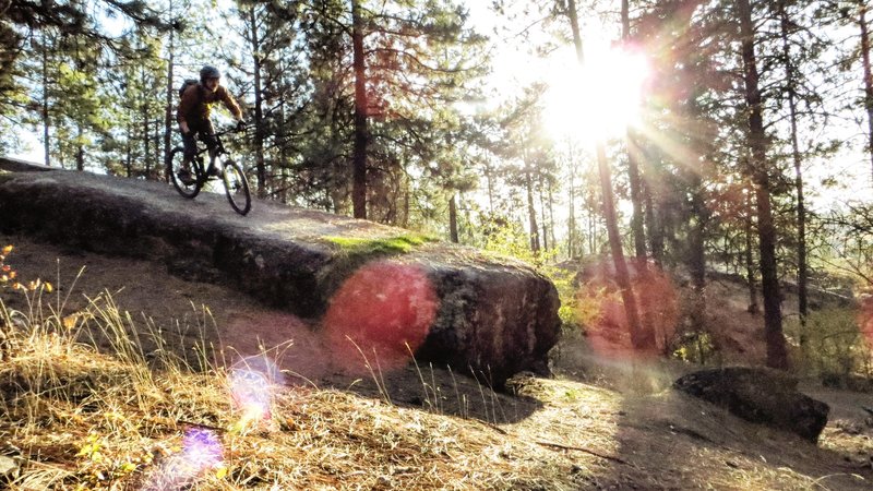 Lots of fun rocks to ride.