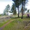 The trail overlooks Spokane with some great views.