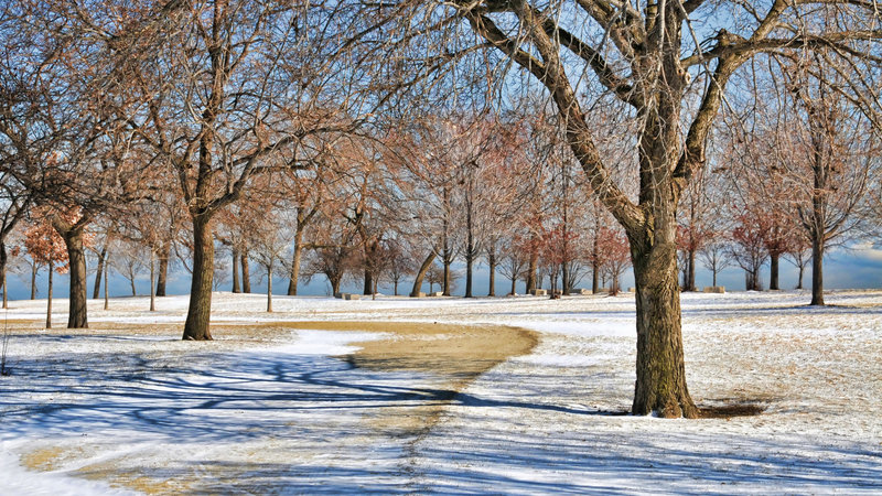 Uptown Chicago Park.