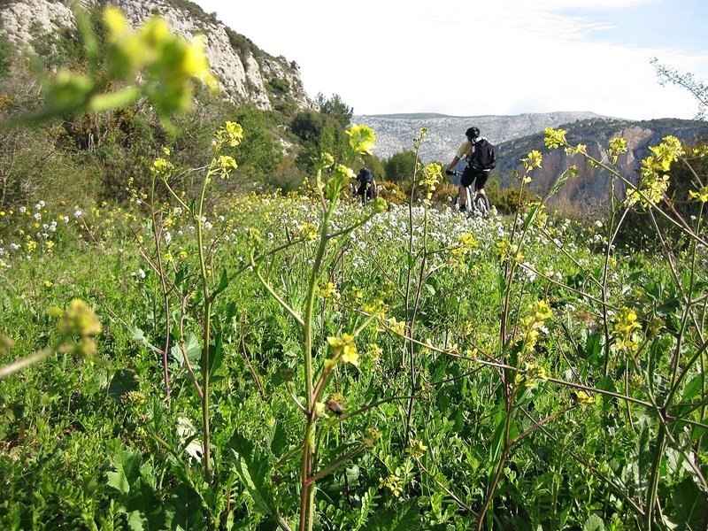 Start of the "Senda del Correu" (The Post Trail), near the Coll de Garx (Garx Pass).