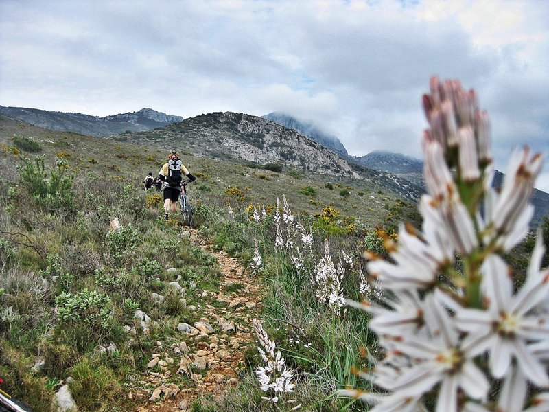 This mountain stands out for its great Mediterranean environment.