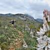 This mountain stands out for its great Mediterranean environment.