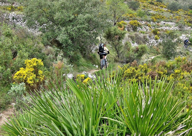 This mountainous area has a high biodiversity.