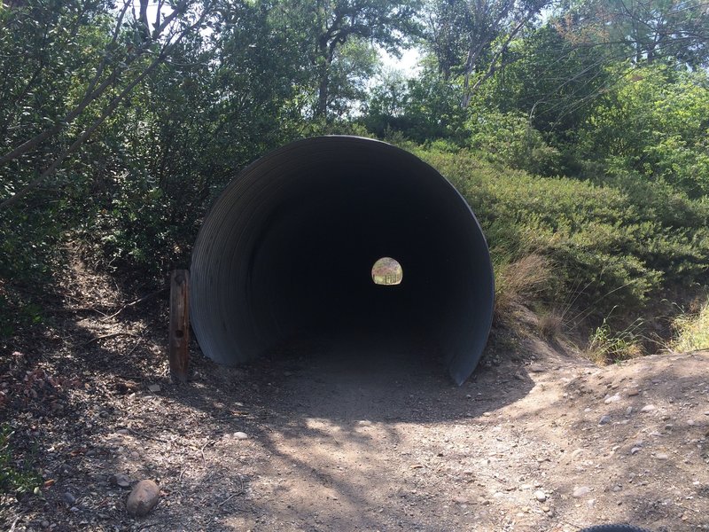 Tunnel under Community Rd.