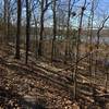 Great view of the lake while you're out on a fantastic trail!