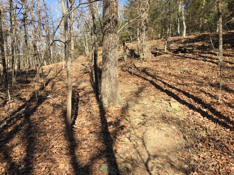 This is a mild switchback climb up the hill if you ride it counter-clockwise.