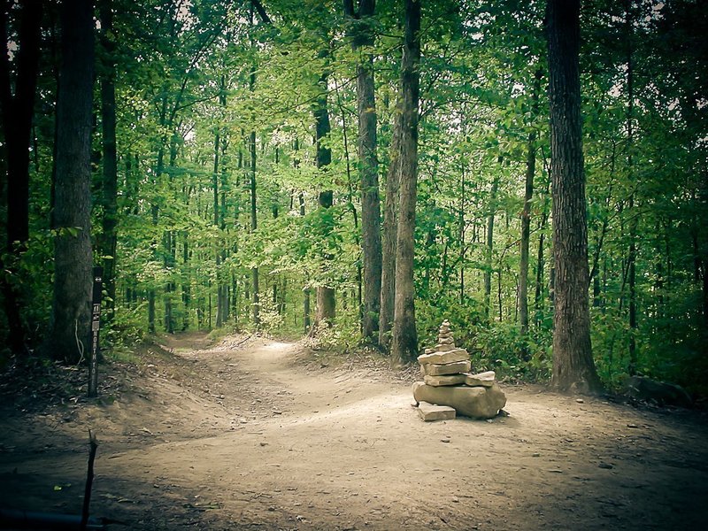 North Tower Connector at Brown County State Park