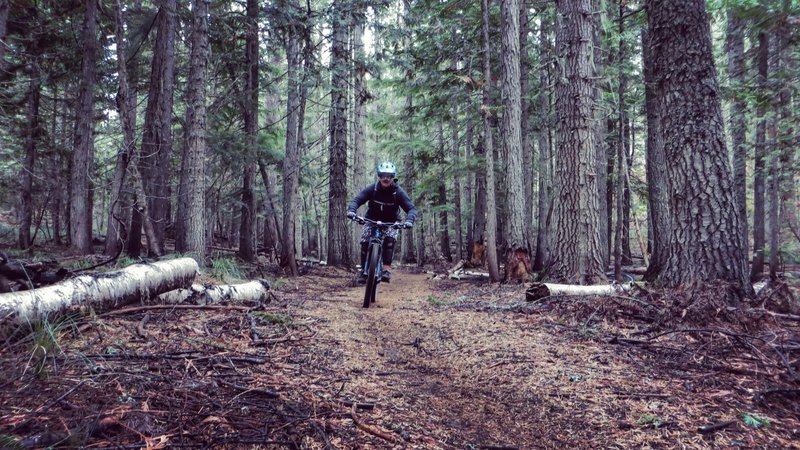 Tacky fall singletrack. Lots of fun flow and bridges.