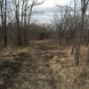 The trail to the woods is not exactly doubletrack, but is maintained by a tractor.