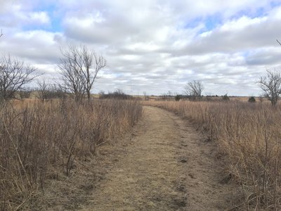 The trail to the woods is not exactly doubletrack, but is maintained by a tractor.