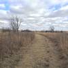 The trail to the woods is not exactly doubletrack, but is maintained by a tractor.