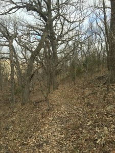 The climb back out has some switchback to it, but then the top section is straight up.