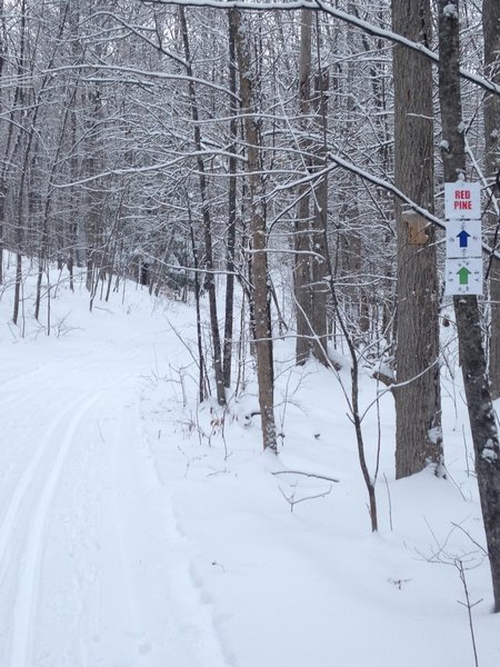 Madawaska Nordic in the winter.