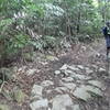 The top of the tight switchbacks just before transition to Razorback.