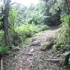 Bird Ridge climb.