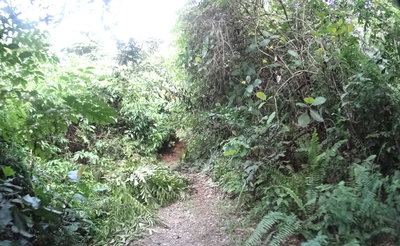 Easy Ridge (not so easy has a couple tight climbing turns on it).