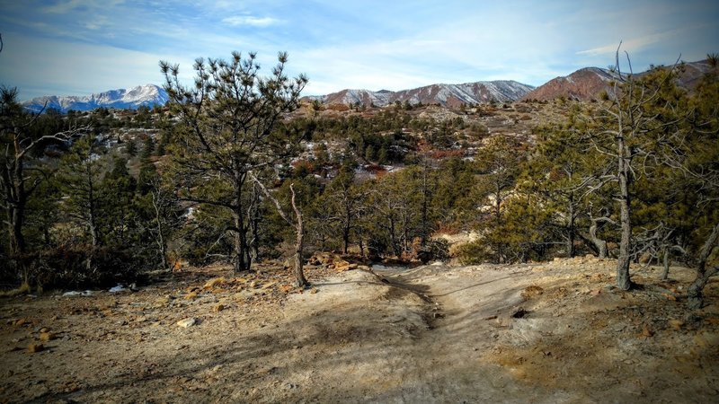 Singletrack towards the center of the park.