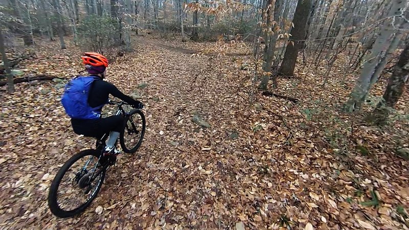 Climbing the rise away from Pequot Swamp Pond.