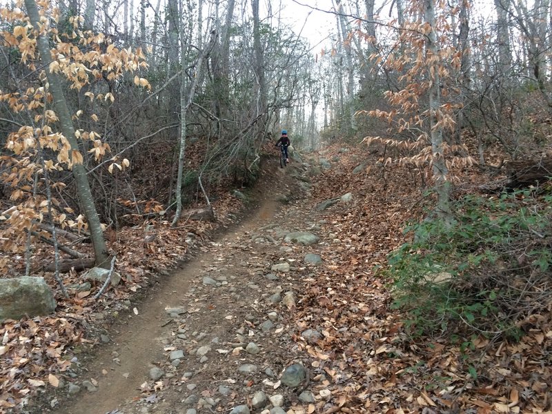 Descending a rocky outcrop toward Bokum Road.