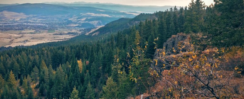 View from the top of Mt. Emily, Caffeine Trail.