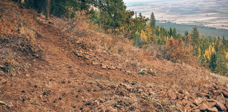 Keeping your eyes on the trail with these big views isn't always easy.