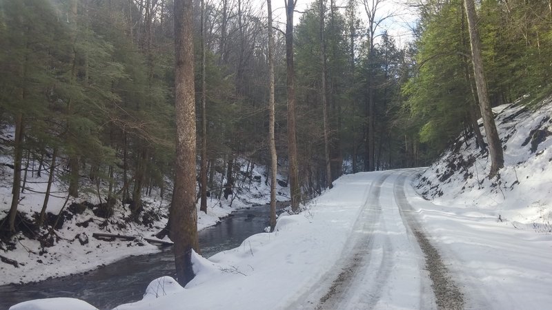 The Sheltowee Trace along Little Sinking Creek on the road before the trail splits off south