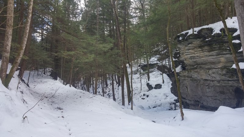 The Sheltowee deep in Little Sinking Creek.  Prime fatbike conditions!