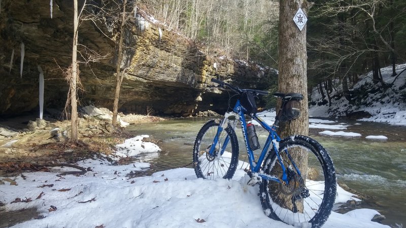 Where the Sheltowee Trace crosses Big Sinking Creek.