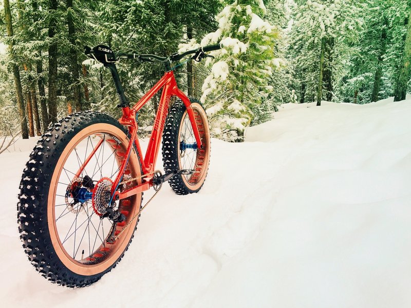 Fresh snow on the Lodgepole Loop.