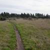 Singletrack section of Wilder Ridge Loop.