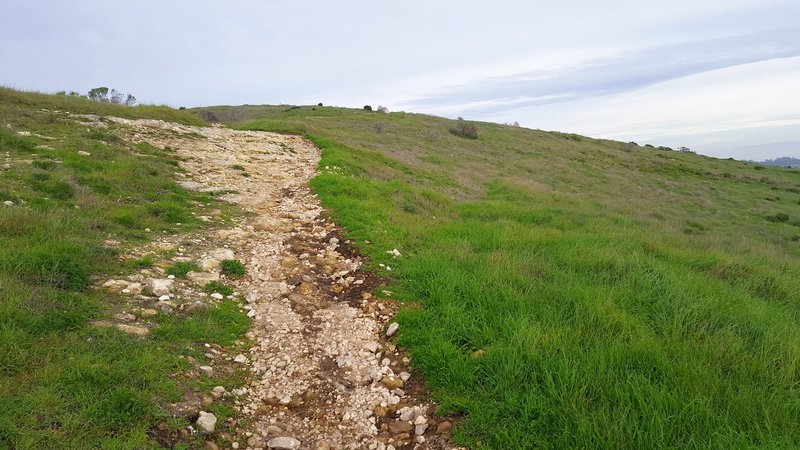 Upper, rockier section of Zane Grey Cutoff.