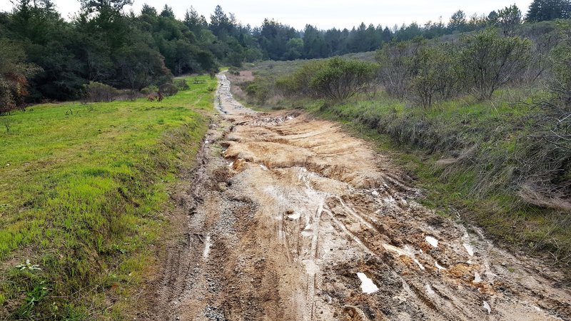 Worst of Wilder Ranch - old rutted ranch road.