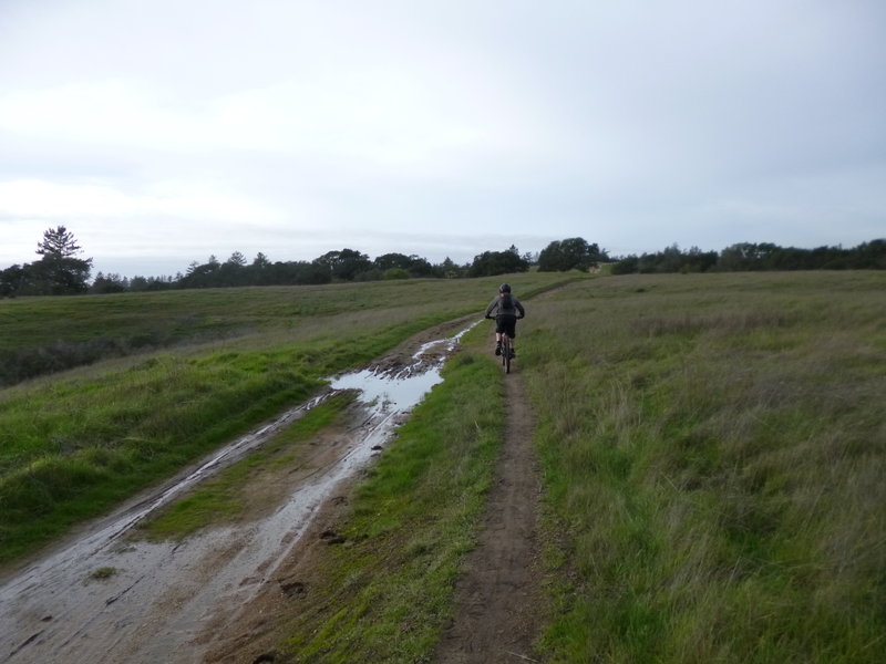 Mud bypass on Wilder Ridge Loop.