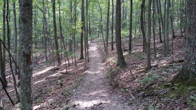 Boundary Trail - Trail climbing to the top of Lick Mountain.