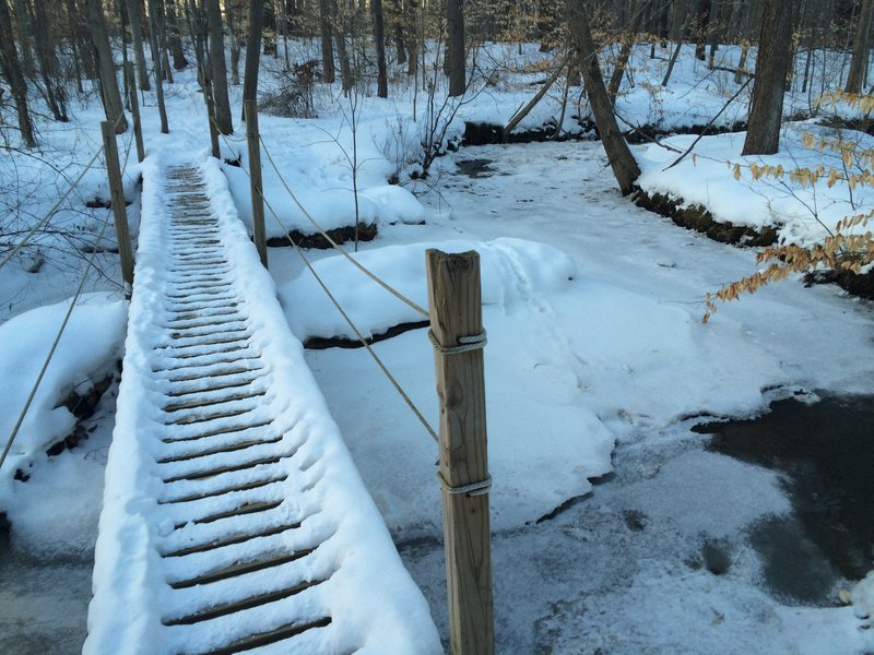 Bridge on the Beaver Damn Trail in Poland Municipal Forest.