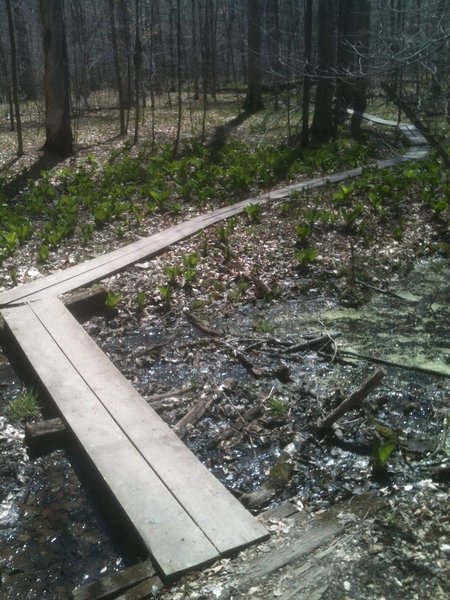 Poland Woods Tornado Trail boards.