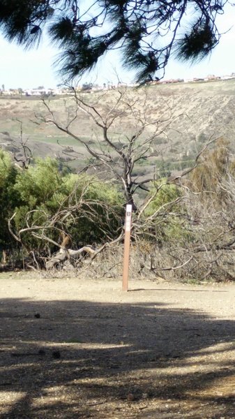 Shade and feel the wind!