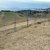 Trail by the fence.