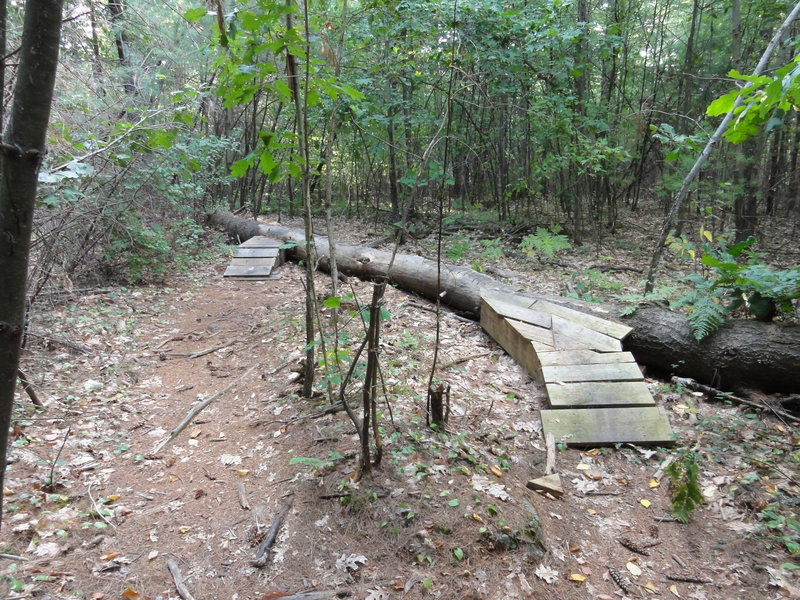 The Sallie Log is one of many features on the Twisted Sister Trail.