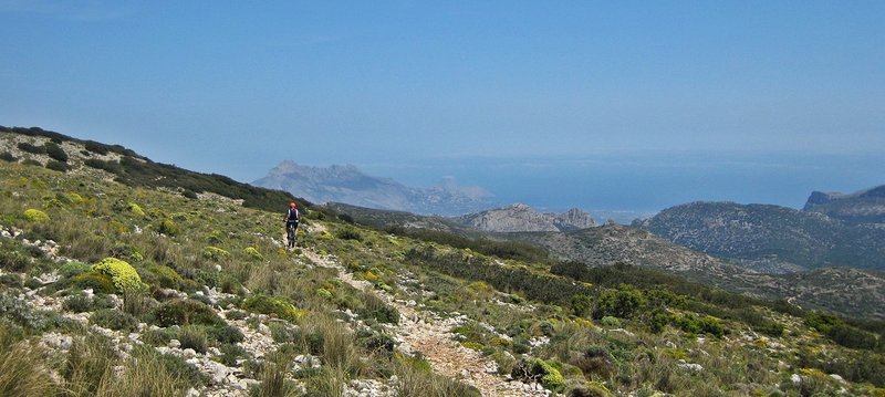 Wildflowers, forests of oaks and pines, rock walls ... this zone is the paradise of the Botany and the sports of mountain.