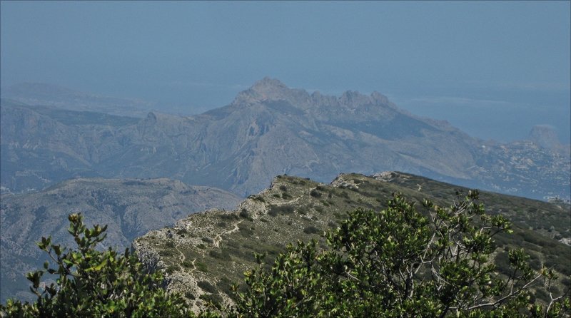 View of the trail.