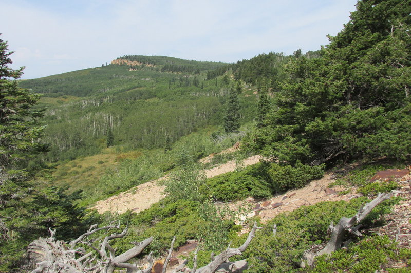 Uncompahgre Plateau near Love Mesa