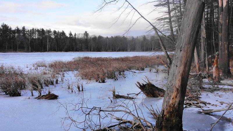 Lovewell Pond rides well in the winter