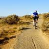 A solo cyclist on Skyline Trail.